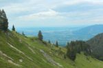 2014-07-05_Laengental-N-Hochweg (844)b. JPG